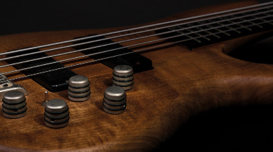 Igor Django Molnar bas gitara